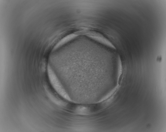 X0000110940174200907022141