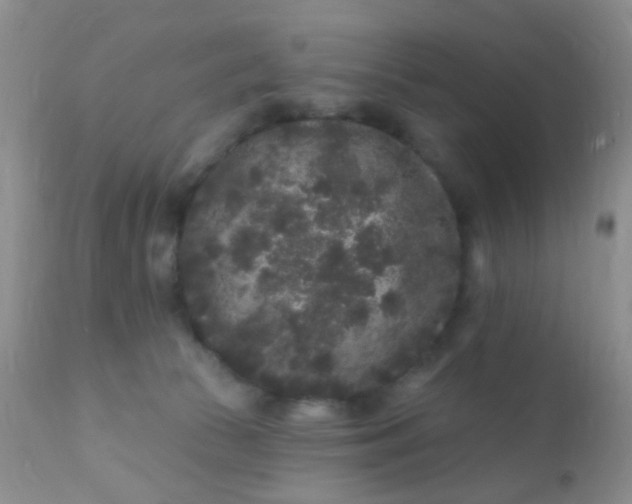 X0000110940177200907022141