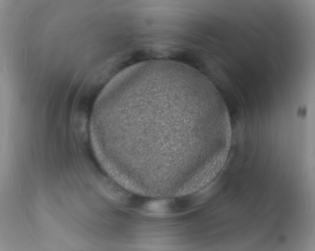 X0000110940178200907022141