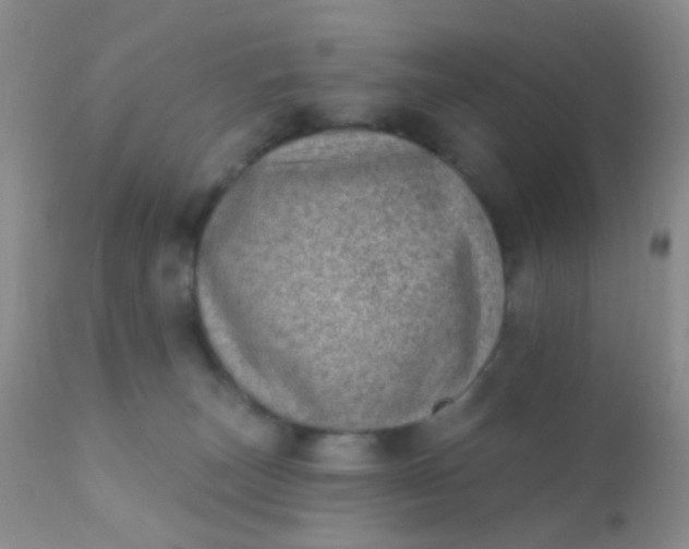 X0000110940179200907022141