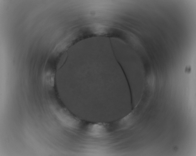 X0000110940180200907022141