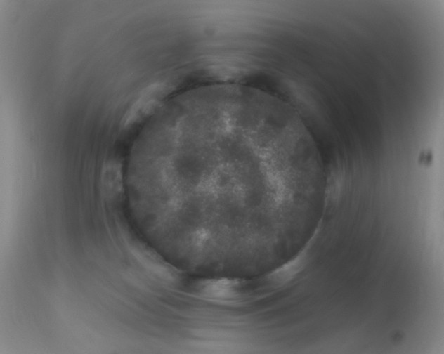 X0000110940182200907022141