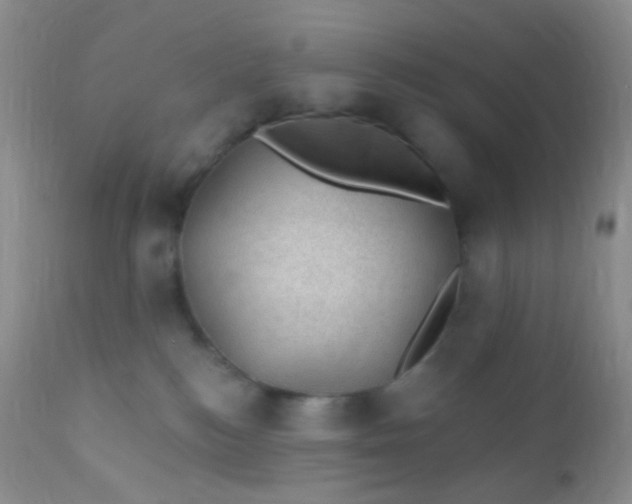 X0000110940184200907022141