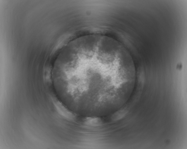 X0000110940185200907022141