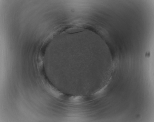 X0000110940186200907022141