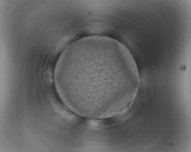 X0000110940187200907022141