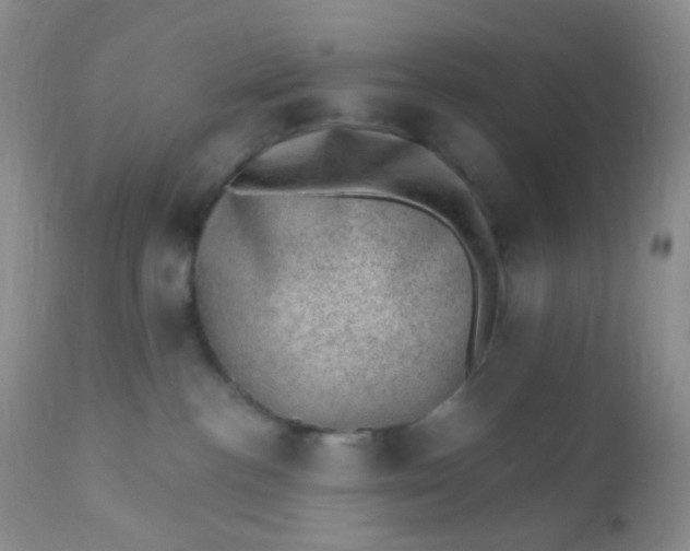 X0000110940188200907022141