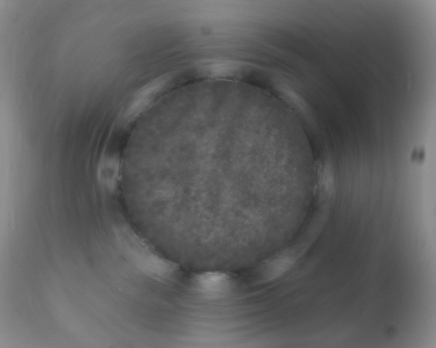 X0000110940189200907022142