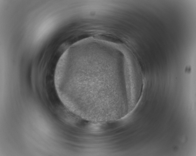 X0000110940190200907022142