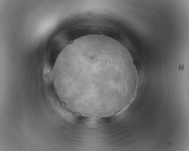 X0000110940191200907022142