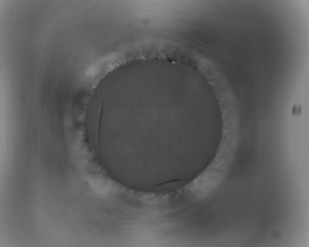 X0000110940192200907022142