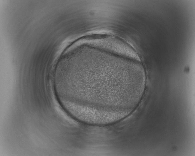 X0000110940193200907022141