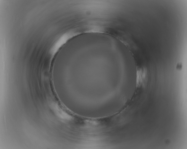 X0000110940195200907022141