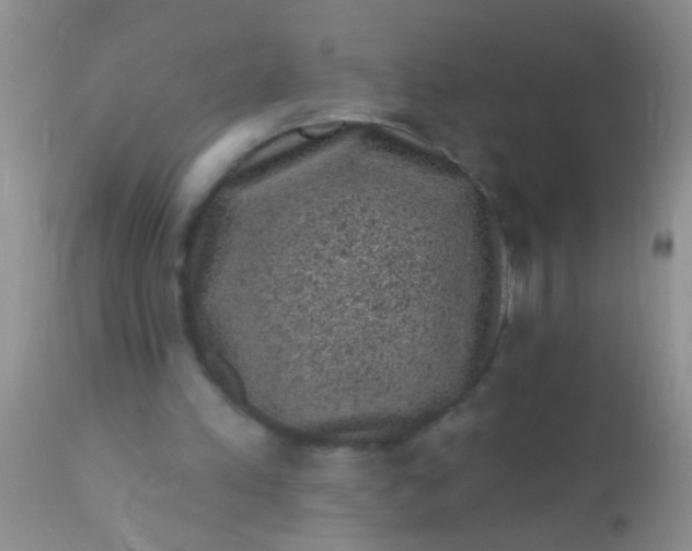 X0000110940197200907022141