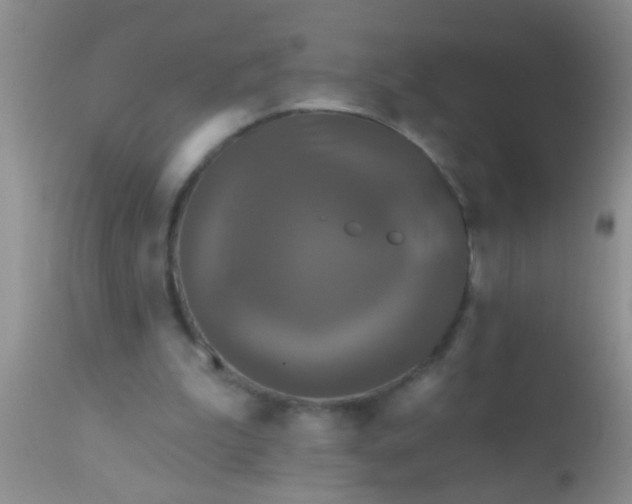 X0000110940199200907022141