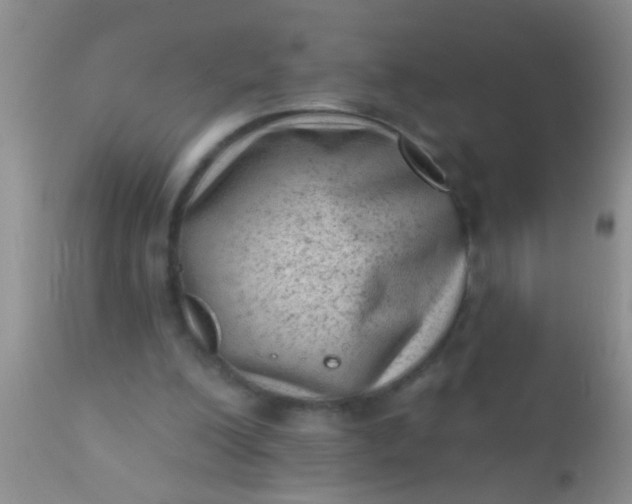 X0000110940200200907022141