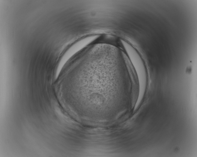 X0000110940201200907022141