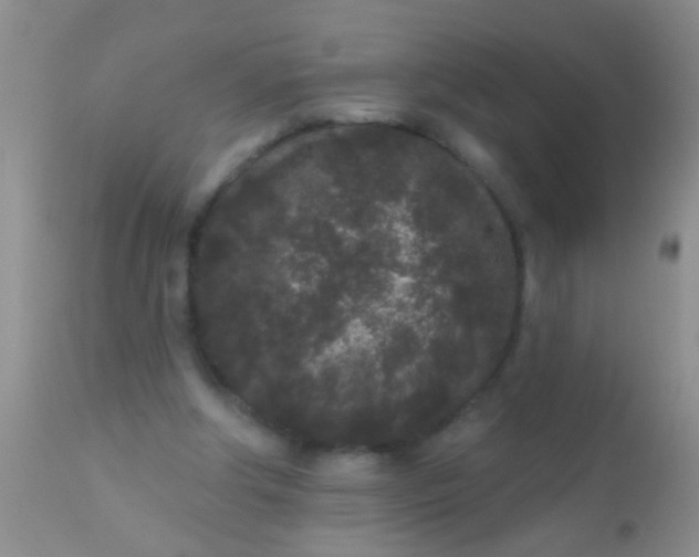 X0000110940202200907022141