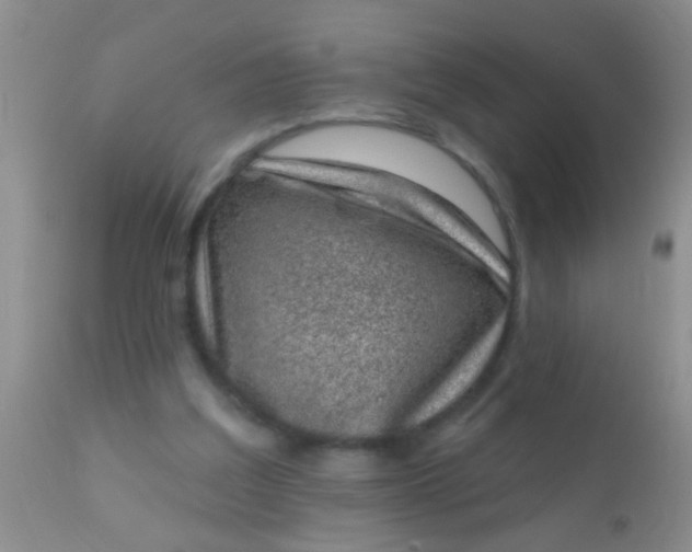 X0000110940203200907022141