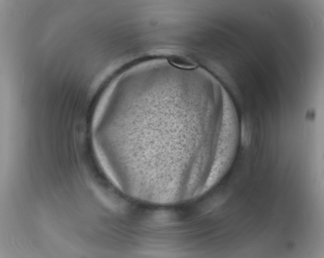 X0000110940204200907022141