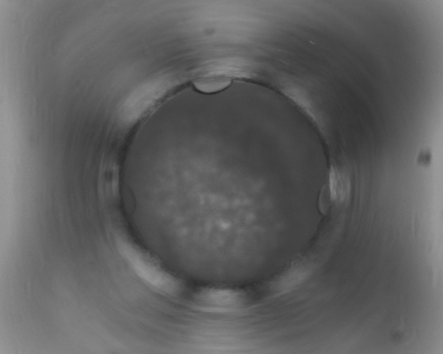 X0000110940205200907022141