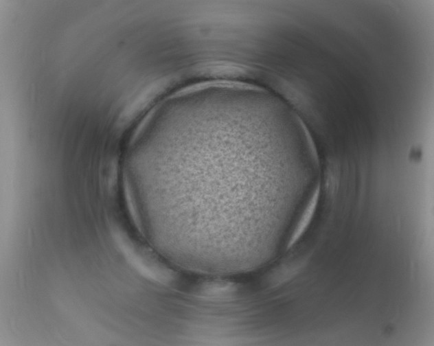 X0000110940206200907022141