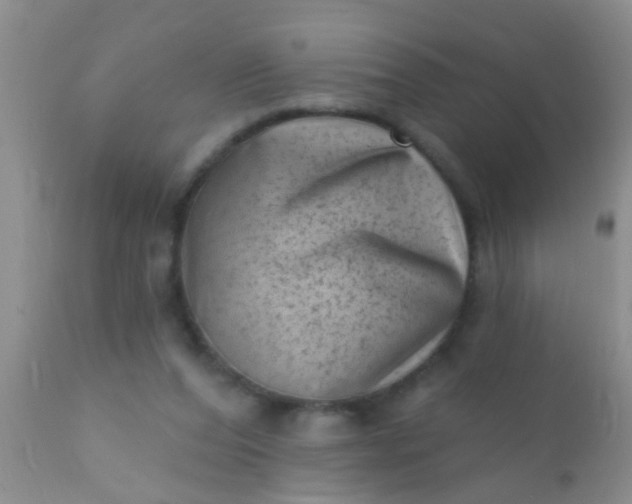 X0000110940208200907022141