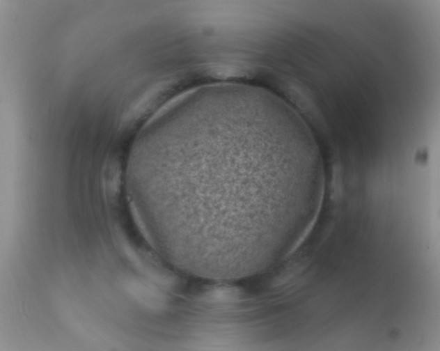 X0000110940210200907022141