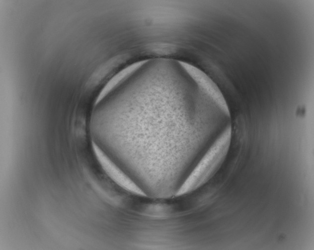 X0000110940212200907022141