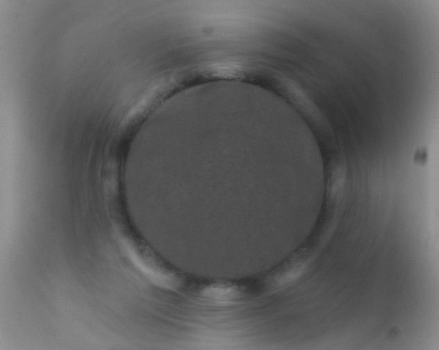 X0000110940213200907022141