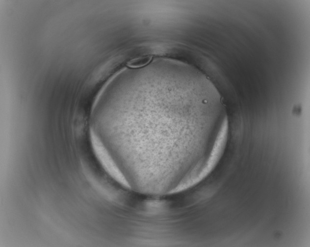 X0000110940216200907022141