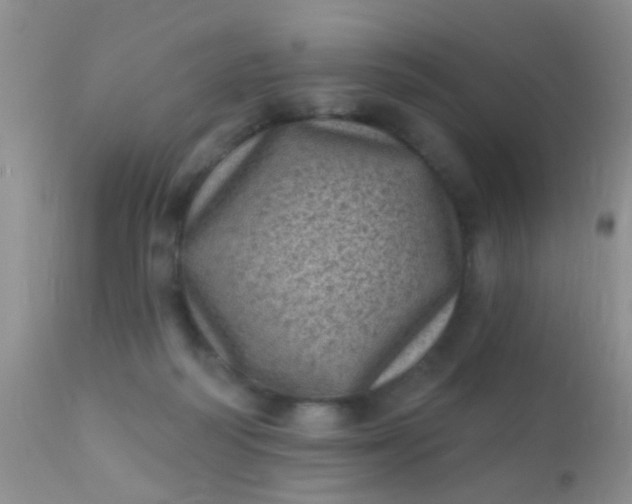 X0000110940218200907022141