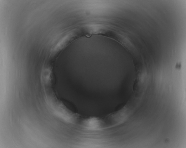 X0000110940219200907022141