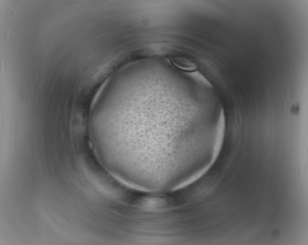 X0000110940220200907022141