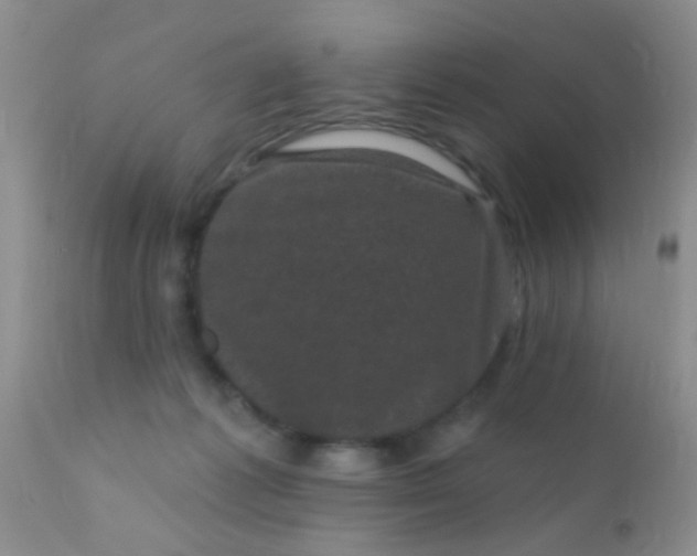 X0000110940221200907022141