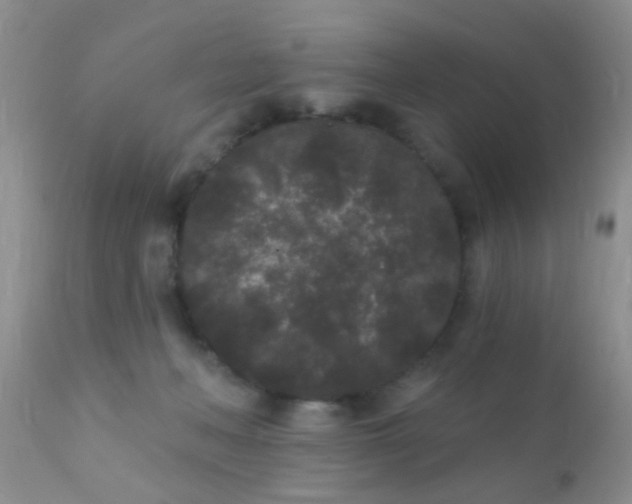 X0000110940222200907022140