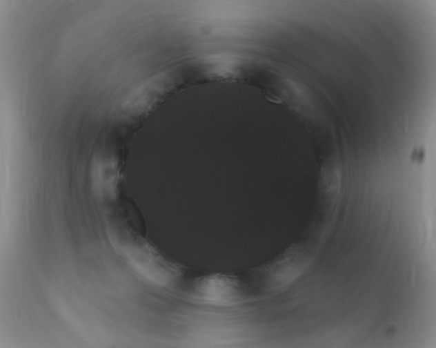 X0000110940223200907022140