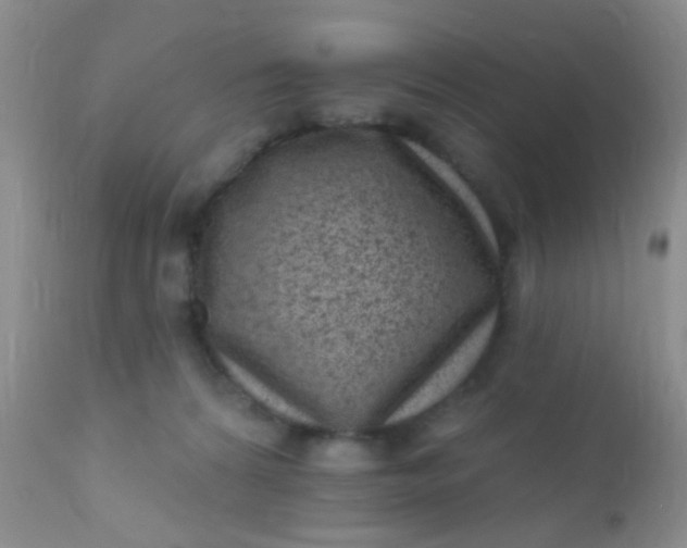 X0000110940224200907022140