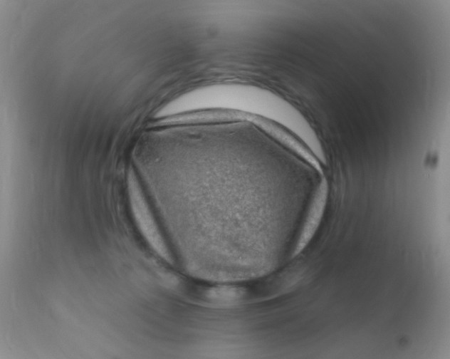 X0000110940225200907022140