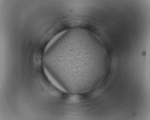 X0000110940226200907022140