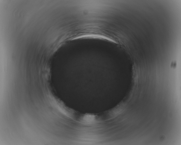 X0000110940227200907022140