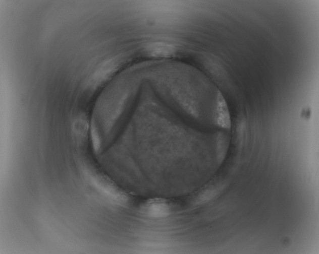 X0000110940228200907022140