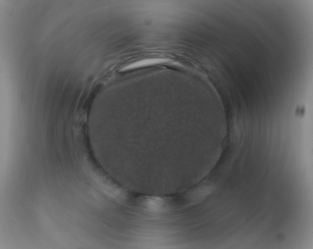 X0000110940229200907022140