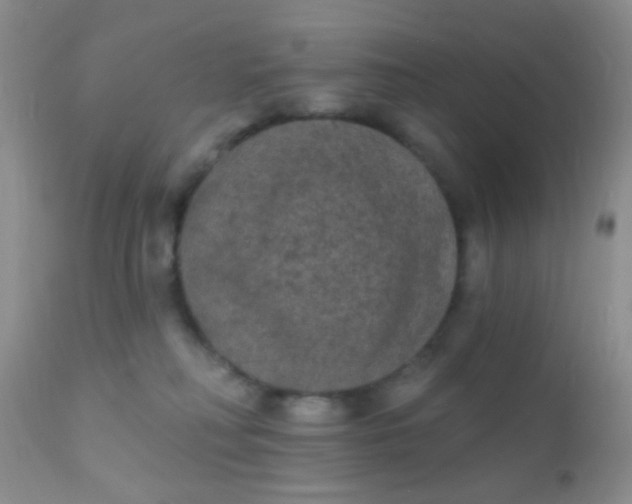 X0000110940230200907022140