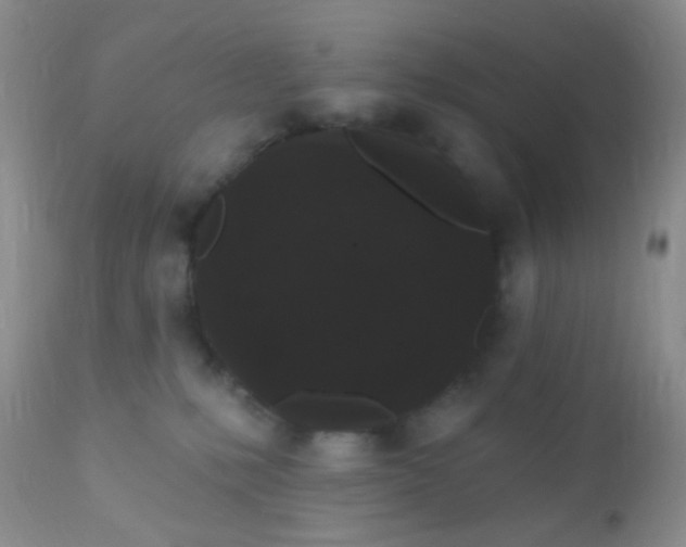 X0000110940231200907022140