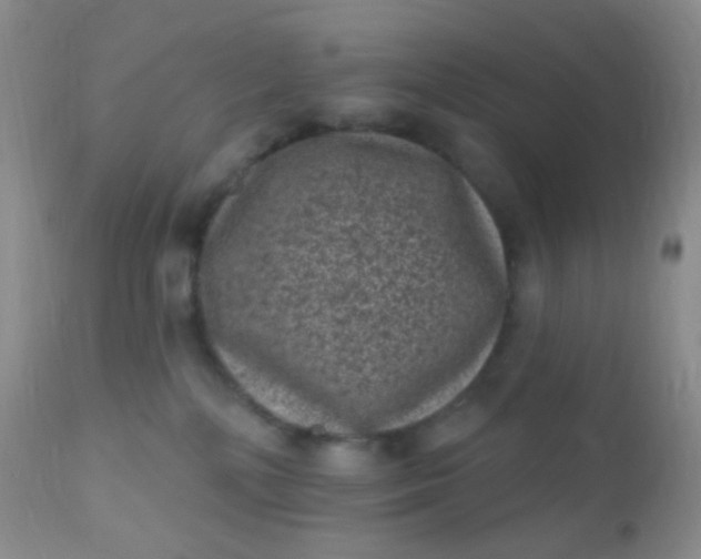 X0000110940232200907022140