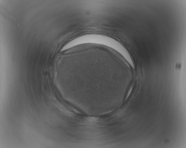 X0000110940233200907022140