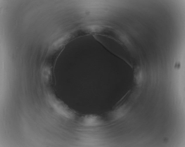 X0000110940235200907022140