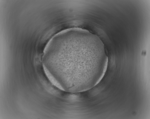 X0000110940236200907022140