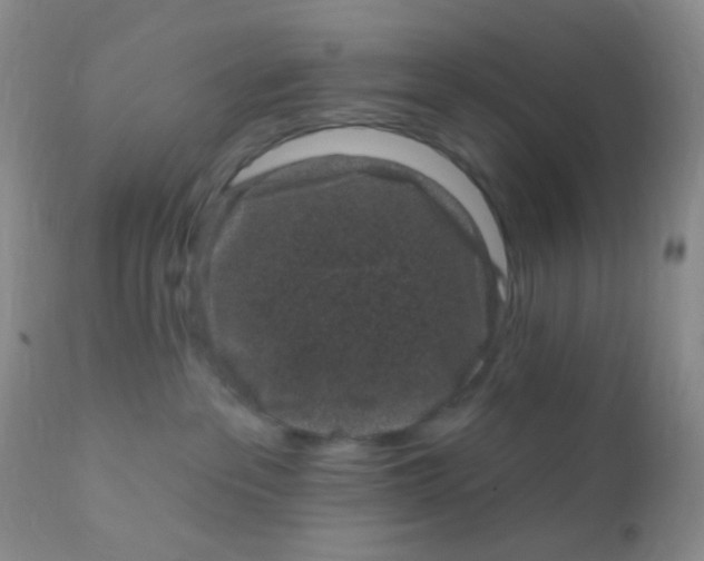 X0000110940237200907022140